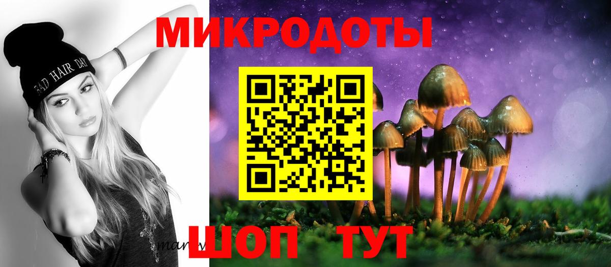 Тимашёвск  Псилоцибиновые грибы Magic Shrooms  Вход с VPN 