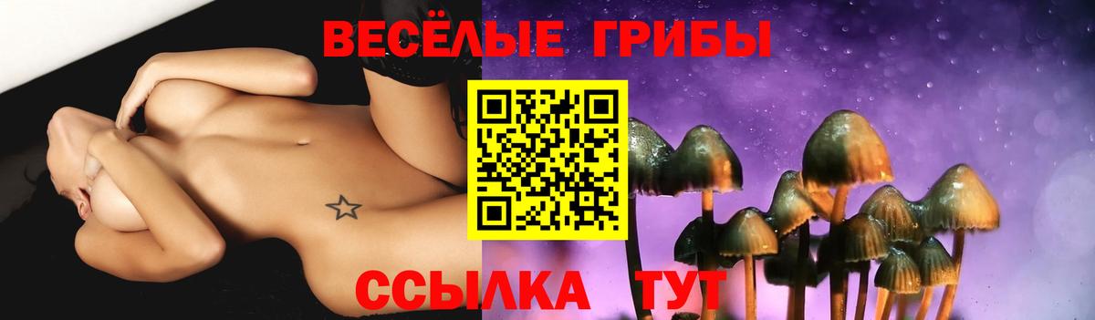 Галлюциногенные грибы GOLDEN TEACHER Тимашёвск